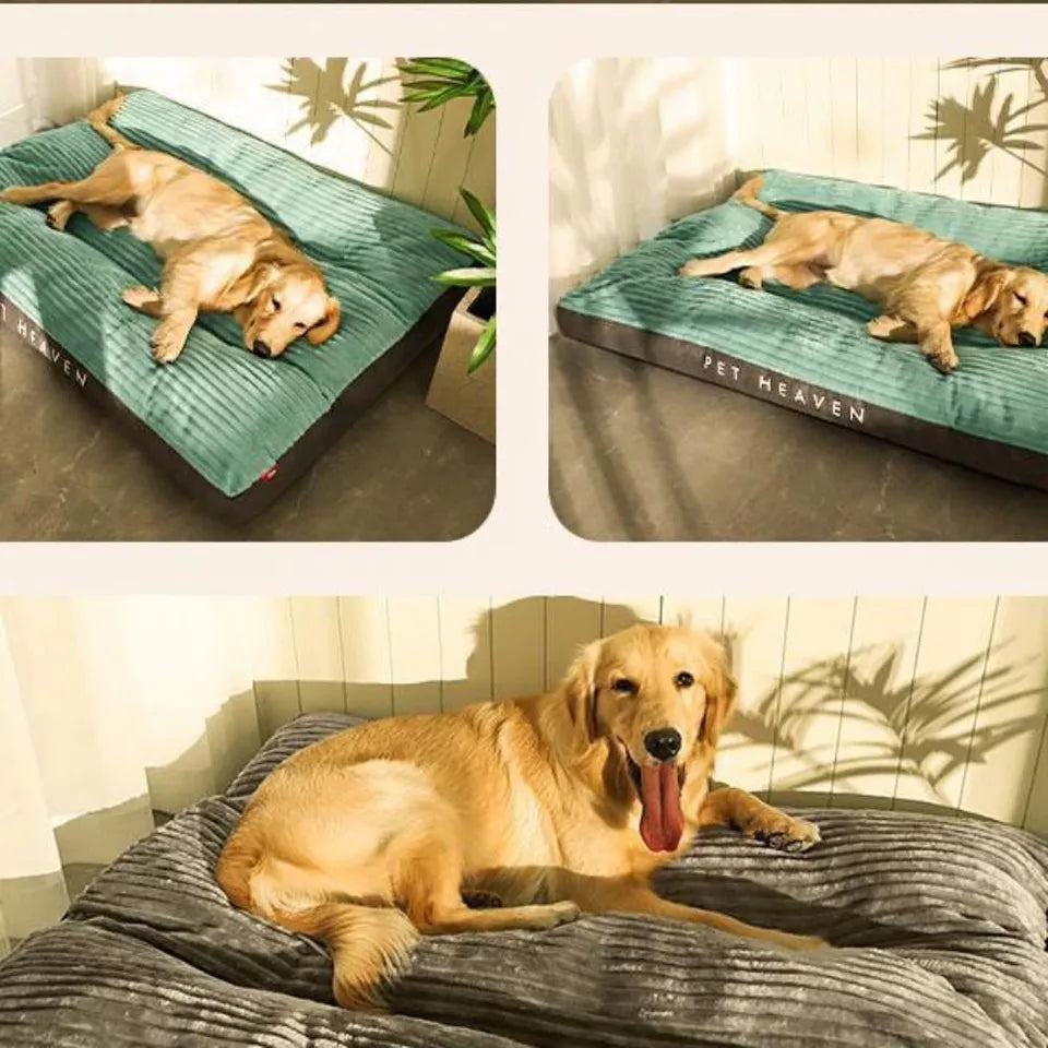 Cama Confortable Para Perros – Soporte Óptimo Y Descanso Pacífico