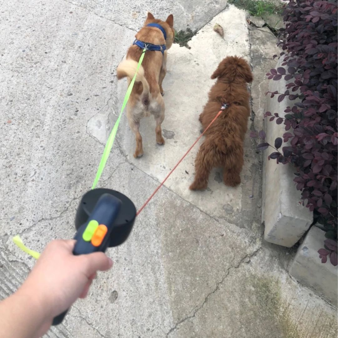 Lesa retractabilă pentru câini – cu lampă LED și distribuitor de saci