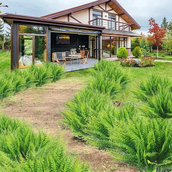 Διακοσμητική Τεχνητή Φτέρνα – Ρεαλιστική Εμφάνιση Και Μακρά Διάρκεια