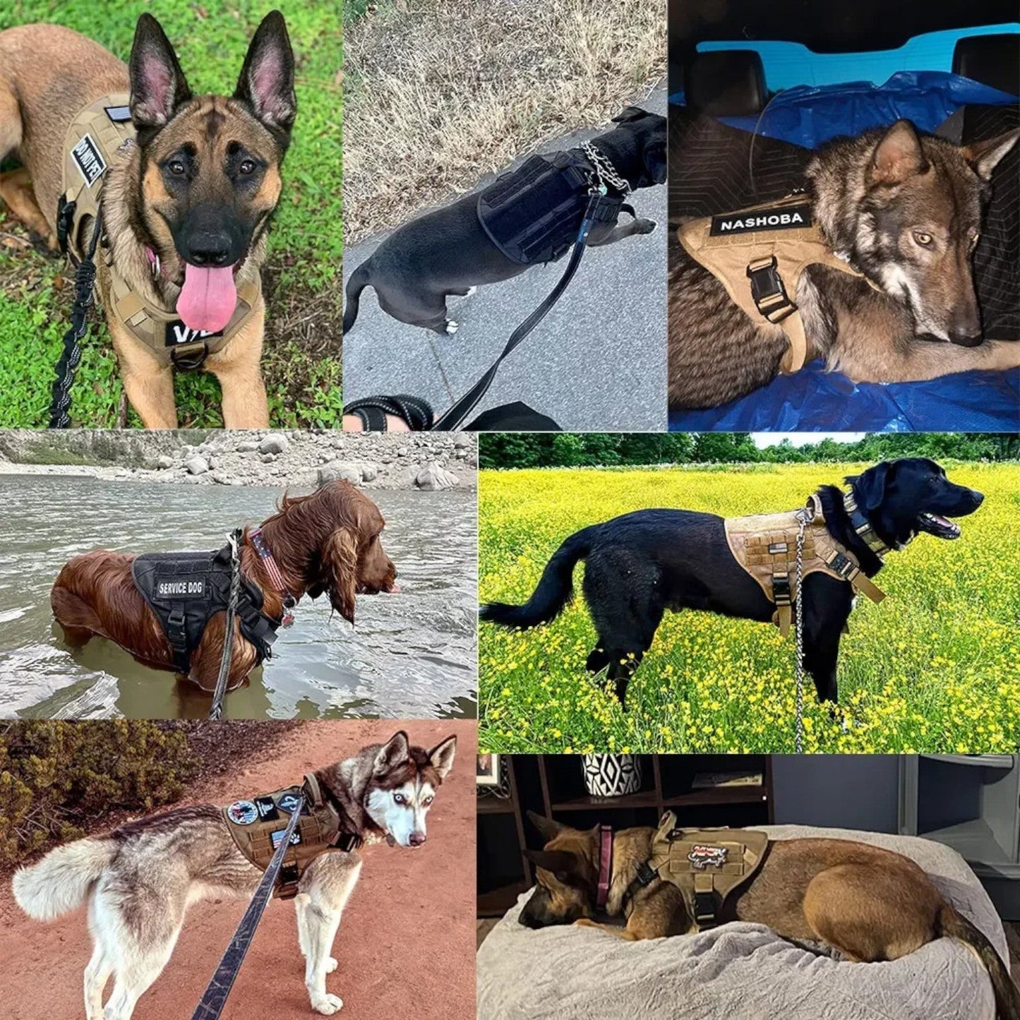 Nastavitelný postroj pro psa – robustnost a kontrola