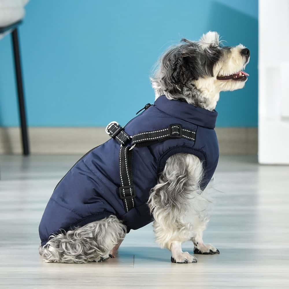 Vandtæt Parka til Hund - Beskyttelse & Stil