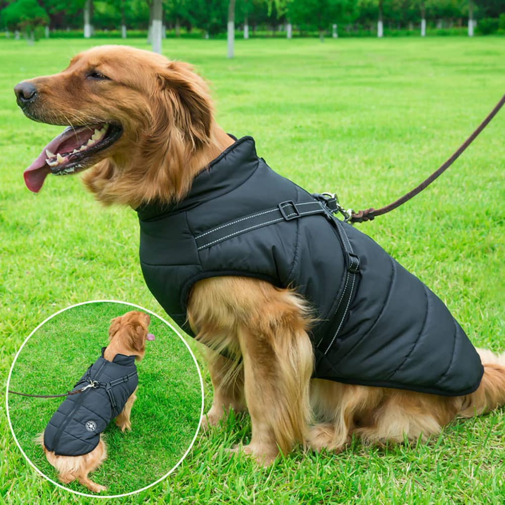 Vandtæt Parka til Hund - Beskyttelse & Stil