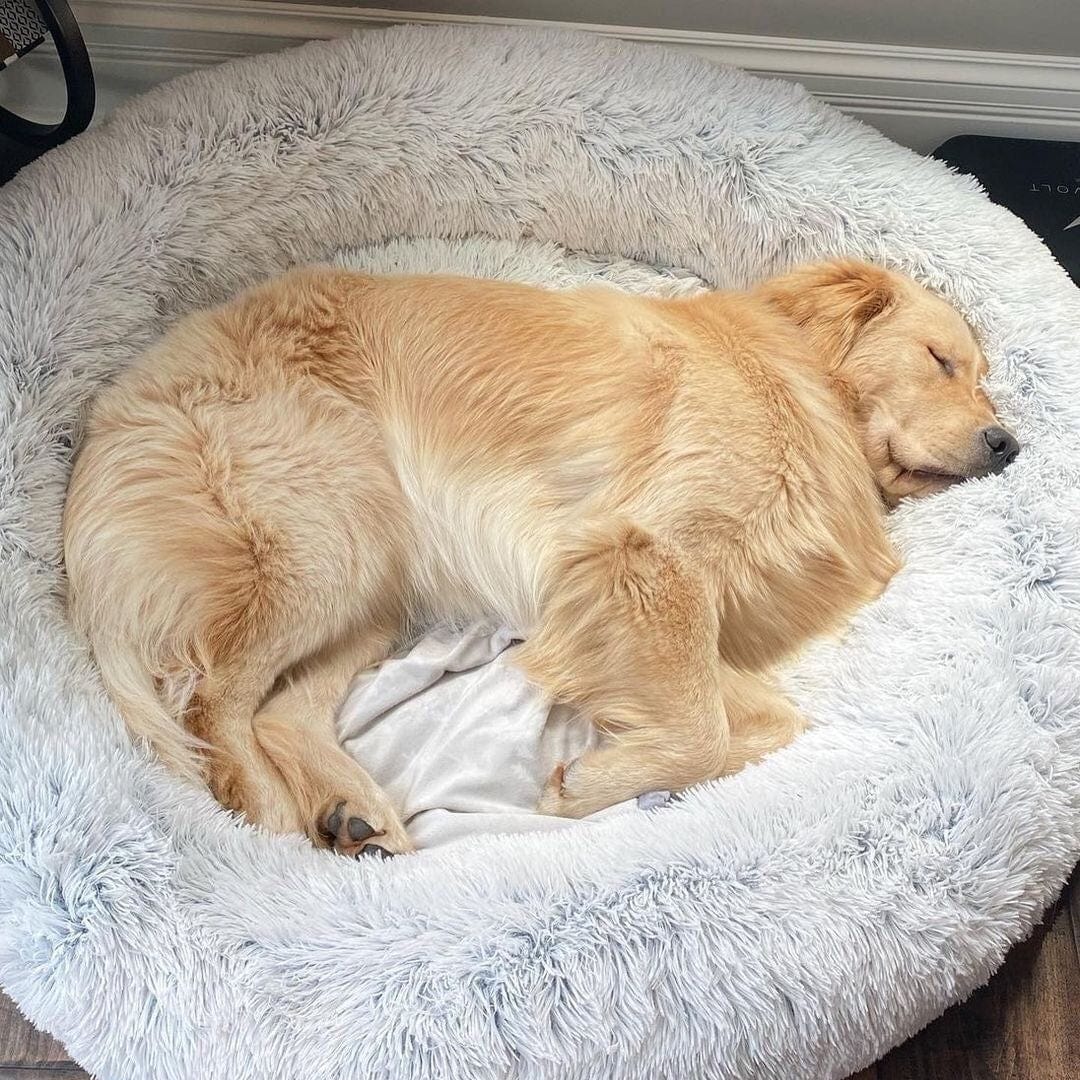 Letto Rilassante Ultra Morbido Per Animali – Comfort E Serenità 