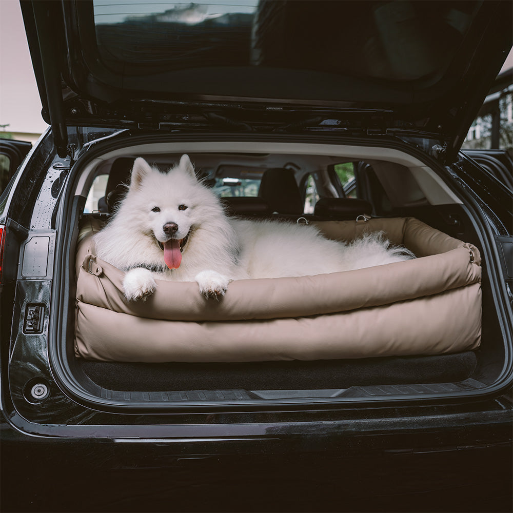 Silla de Auto para Perro – Confort y Protección 
