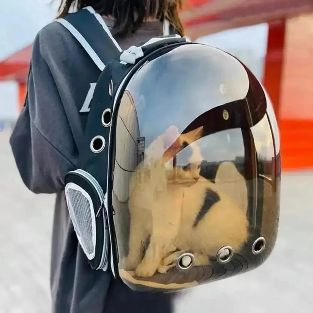 Bubble Backpack for Cats – Comfort and Safety While Traveling 
