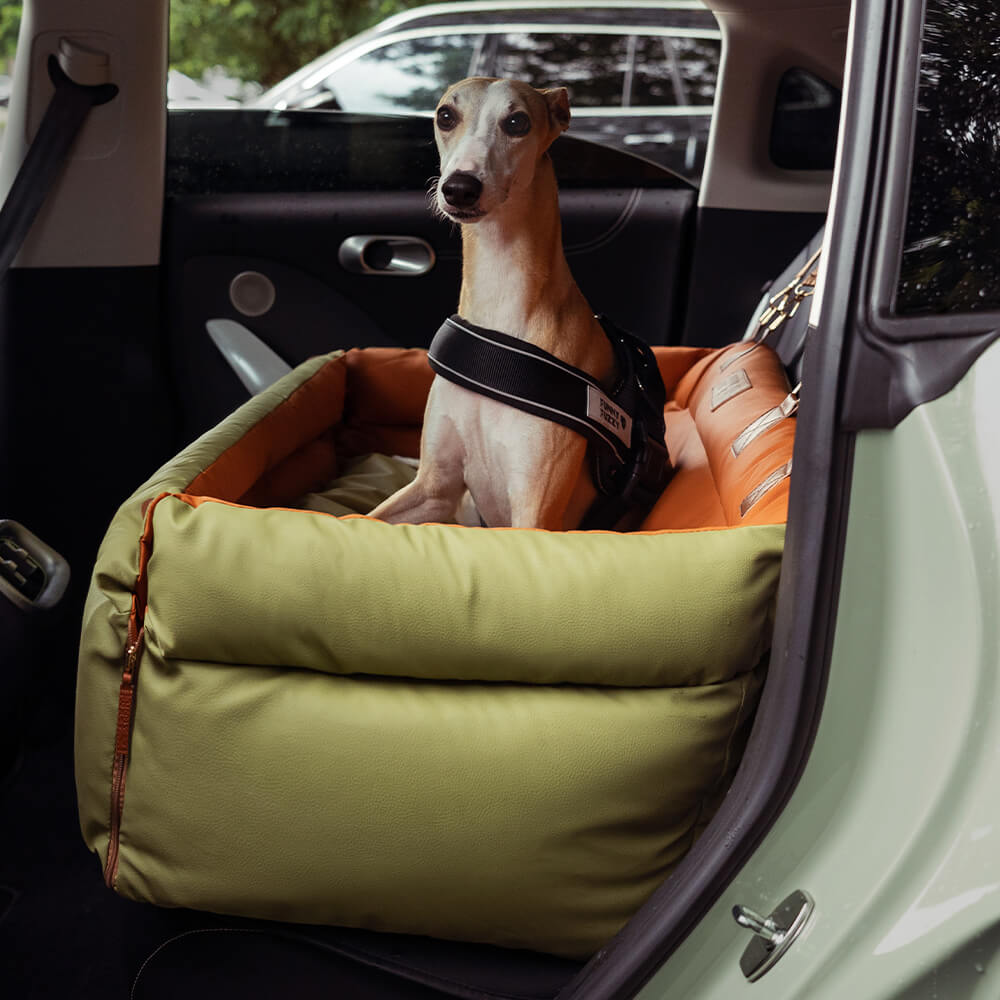 Silla de Auto para Perro – Confort y Protección 