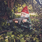 Hagegnom Militær – Berør Humor Og Utendørs Forsvar 