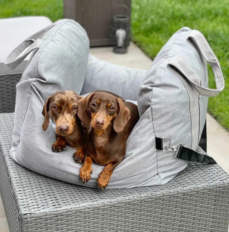 Cama de viaje relajante para perros - Descanso apacible y fácil de transportar