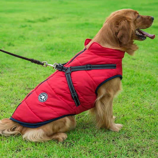 Vanntett Parkdress for Hund - Beskyttelse & Stil 