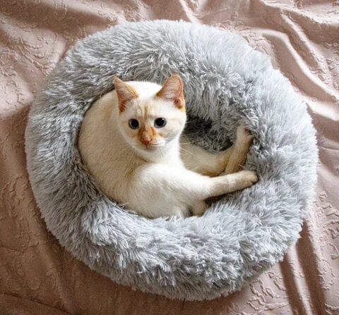 Letto Rilassante Ultra Morbido Per Animali – Comfort E Serenità 