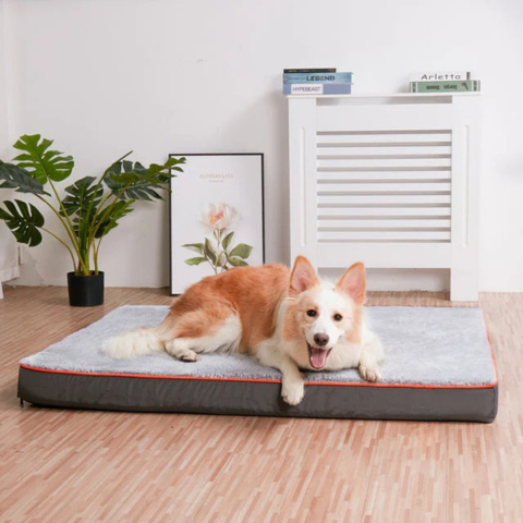 Letto per Grandi Cani – Comfort e Spazio Adatto 