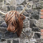 Gevlochten Varkenskop – Natuurlijke Muurkunst 