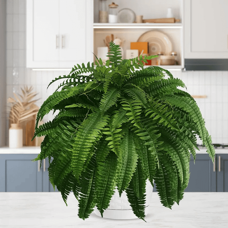 Artificial Decorative Fern – Realistic Look and Long Lasting 