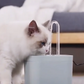 動物用水飲み場 – 継続的な循環と効果的なフィルtration 