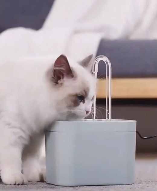 動物用水飲み場 – 継続的な循環と効果的なフィルtration 