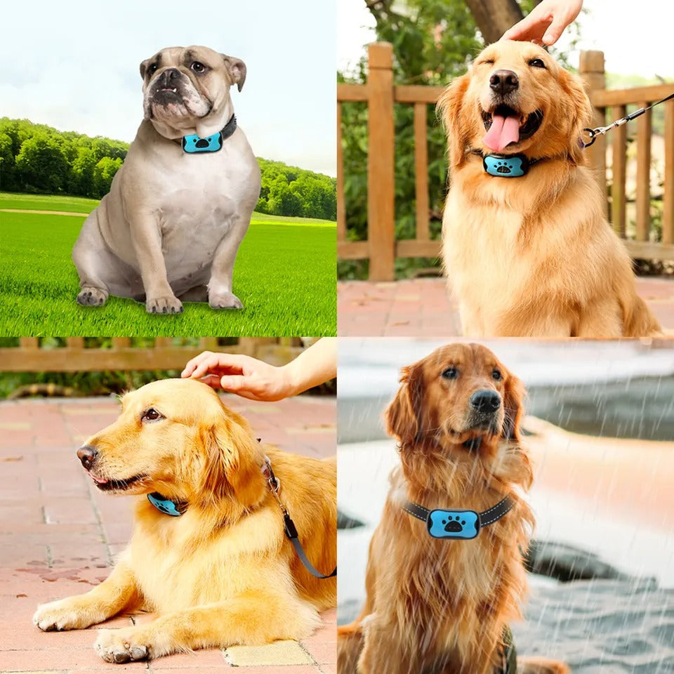 Collar Antiladridos Para Perros — Adiestramiento Suave y Eficaz 